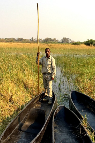 Mekoro canoe rides