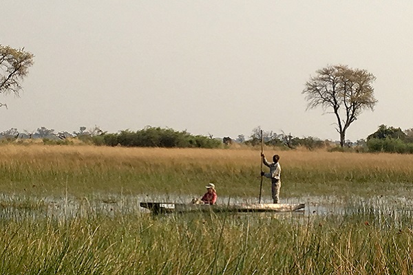 Mekoro canoeing in the Okavango Delta