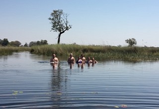 Swimming in the Okavango Delta